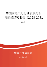 中國汞蒸氣燈行業(yè)發(fā)展分析與前景趨勢報告（2025-2031年）