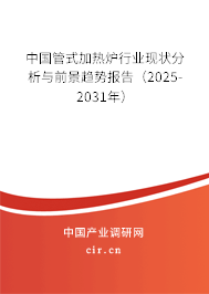 中國(guó)管式加熱爐行業(yè)現(xiàn)狀分析與前景趨勢(shì)報(bào)告（2025-2031年）