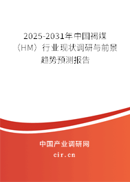 2025-2031年中國褐煤（HM）行業(yè)現(xiàn)狀調(diào)研與前景趨勢預(yù)測報告