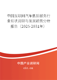 中國(guó)互聯(lián)網(wǎng)汽車(chē)售后服務(wù)行業(yè)現(xiàn)狀調(diào)研與發(fā)展趨勢(shì)分析報(bào)告（2025-2031年）