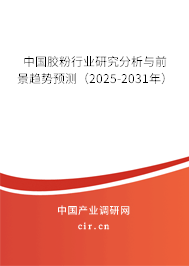 中國膠粉行業(yè)研究分析與前景趨勢預測（2025-2031年）