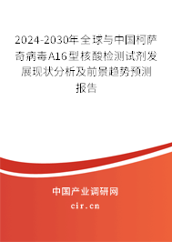 2024-2030年全球與中國柯薩奇病毒A16型核酸檢測試劑發(fā)展現(xiàn)狀分析及前景趨勢預測報告