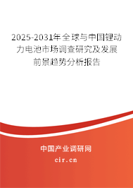 2025-2031年全球與中國(guó)鋰動(dòng)力電池市場(chǎng)調(diào)查研究及發(fā)展前景趨勢(shì)分析報(bào)告