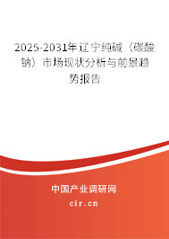 2025-2031年遼寧純堿（碳酸鈉）市場(chǎng)現(xiàn)狀分析與前景趨勢(shì)報(bào)告