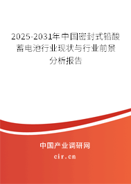 2025-2031年中國密封式鉛酸蓄電池行業(yè)現(xiàn)狀與行業(yè)前景分析報(bào)告