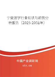 寧夏游學(xué)行業(yè)現(xiàn)狀與趨勢(shì)分析報(bào)告（2025-2031年）