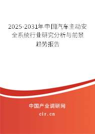 2025-2031年中國汽車主動安全系統(tǒng)行業(yè)研究分析與前景趨勢報告