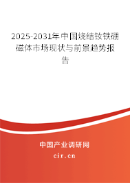 2025-2031年中國燒結(jié)釹鐵硼磁體市場現(xiàn)狀與前景趨勢報告