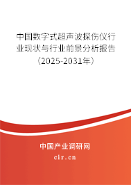中國(guó)數(shù)字式超聲波探傷儀行業(yè)現(xiàn)狀與行業(yè)前景分析報(bào)告（2024-2030年）