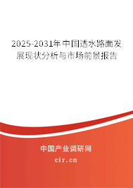 2025-2031年中國透水路面發(fā)展現狀分析與市場前景報告