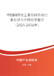 中國網(wǎng)絡化工業(yè)控制系統(tǒng)行業(yè)現(xiàn)狀與市場前景報告（2025-2031年）