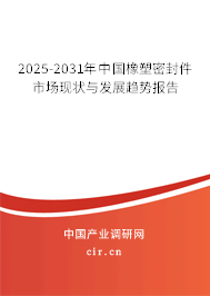 2025-2031年中國橡塑密封件市場現(xiàn)狀與發(fā)展趨勢報告