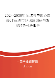2024-2030年全球與中國(guó)心血管CT系統(tǒng)市場(chǎng)深度調(diào)研與發(fā)展趨勢(shì)分析報(bào)告