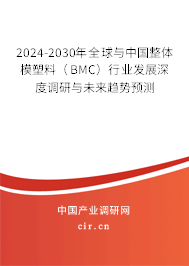 2024-2030年全球與中國(guó)整體模塑料（BMC）行業(yè)發(fā)展深度調(diào)研與未來(lái)趨勢(shì)預(yù)測(cè)