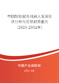 中國智能服務(wù)機(jī)器人發(fā)展現(xiàn)狀分析與前景趨勢(shì)報(bào)告（2025-2031年）