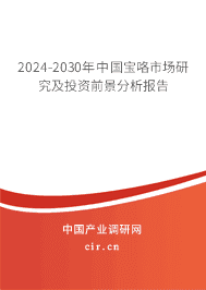 2023-2029年中國寶咯市場研究及投資前景分析報(bào)告