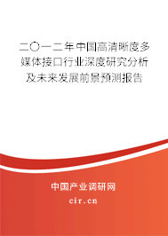 二〇一二年中國高清晰度多媒體接口行業(yè)深度研究分析及未來發(fā)展前景預(yù)測報(bào)告