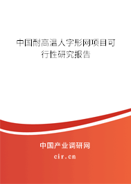 中國耐高溫人字形網(wǎng)項目可行性研究報告