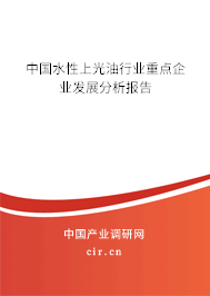 中國水性上光油行業(yè)重點企業(yè)發(fā)展分析報告