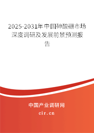 2025-2031年中國砷酸硼市場深度調(diào)研及發(fā)展前景預(yù)測報告