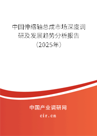 中國伸縮軸總成市場深度調(diào)研及發(fā)展趨勢分析報告（2025年）