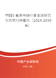 中國3-氟苯甲醚行業(yè)發(fā)展研究與前景分析報告（2024-2030年）