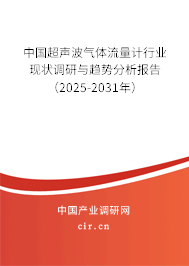 中國超聲波氣體流量計行業(yè)現(xiàn)狀調研與趨勢分析報告（2025-2031年）