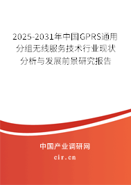 2025-2031年中國GPRS通用分組無線服務(wù)技術(shù)行業(yè)現(xiàn)狀分析與發(fā)展前景研究報告