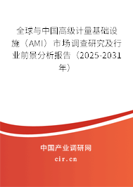 全球與中國(guó)高級(jí)計(jì)量基礎(chǔ)設(shè)施（AMI）市場(chǎng)調(diào)查研究及行業(yè)前景分析報(bào)告（2025-2031年）
