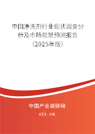 中國(guó)凈洗劑行業(yè)現(xiàn)狀調(diào)查分析及市場(chǎng)前景預(yù)測(cè)報(bào)告（2025年版）
