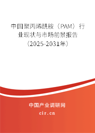 中國(guó)聚丙烯酰胺（PAM）行業(yè)現(xiàn)狀與市場(chǎng)前景報(bào)告（2025-2031年）