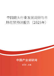 中國(guó)磨頭行業(yè)發(fā)展調(diào)研與市場(chǎng)前景預(yù)測(cè)報(bào)告（2025年）