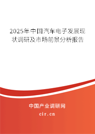 2025年中國汽車電子發(fā)展現(xiàn)狀調(diào)研及市場(chǎng)前景分析報(bào)告
