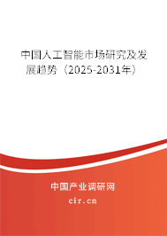 中國人工智能市場研究及發(fā)展趨勢(shì)（2025-2031年）