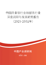 中國商業(yè)銀行金融服務(wù)行業(yè)深度調(diào)研與發(fā)展趨勢報告（2025-2031年）