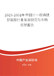 2024-2030年中國(guó)十一碳烯酰甘氨酸行業(yè)發(fā)展研究與市場(chǎng)前景報(bào)告