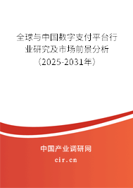 全球與中國數(shù)字支付平臺行業(yè)研究及市場前景分析（2025-2031年）