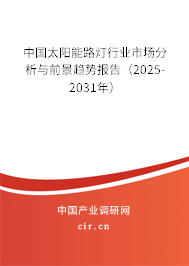 中國太陽能路燈行業(yè)市場分析與前景趨勢報告（2025-2031年）