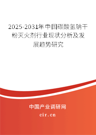 2025-2031年中國碳酸氫鈉干粉滅火劑行業(yè)現(xiàn)狀分析及發(fā)展趨勢研究