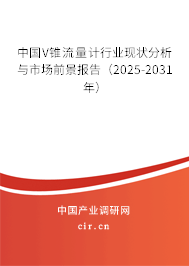 中國V錐流量計(jì)行業(yè)現(xiàn)狀分析與市場前景報(bào)告（2025-2031年）
