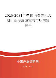 2025-2031年中國消費類無人機行業(yè)發(fā)展研究與市場前景報告