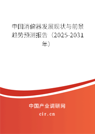 中國消偏器發(fā)展現(xiàn)狀與前景趨勢預(yù)測報告（2025-2031年）