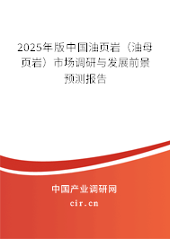 2025年版中國油頁巖（油母頁巖）市場調(diào)研與發(fā)展前景預(yù)測報告