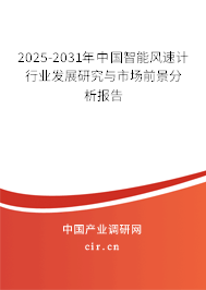 2025-2031年中國智能風速計行業(yè)發(fā)展研究與市場前景分析報告