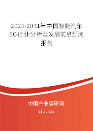 2025-2031年中國智能汽車5G行業(yè)分析及發(fā)展前景預(yù)測報告
