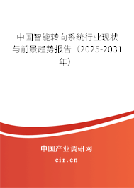 中國(guó)智能轉(zhuǎn)向系統(tǒng)行業(yè)現(xiàn)狀與前景趨勢(shì)報(bào)告（2025-2031年）