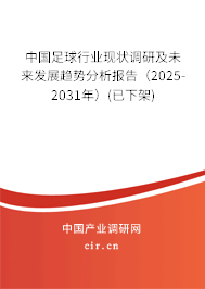 中國足球行業(yè)現(xiàn)狀調(diào)研及未來發(fā)展趨勢分析報(bào)告（2025-2031年）(已下架)