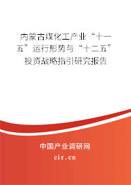 內(nèi)蒙古煤化工產(chǎn)業(yè)“十一五”運行形勢與“十二五”投資戰(zhàn)略指引研究報告
