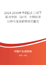 2024-2030年中國2,6-二叔丁基對甲酚（BHT）市場現(xiàn)狀分析與發(fā)展趨勢研究報告