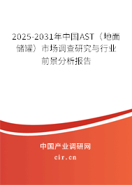 2025-2031年中國(guó)AST（地面儲(chǔ)罐）市場(chǎng)調(diào)查研究與行業(yè)前景分析報(bào)告
